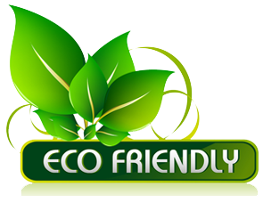 Mean Green Clean Eco Friendy Cleaning Company